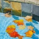 winterize your pool