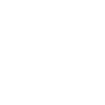 Z Badge White