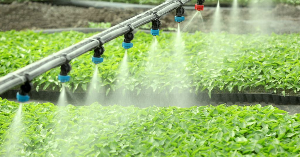 Fertigation Ready Water™ | Controlled Environment Agriculture (CEA)